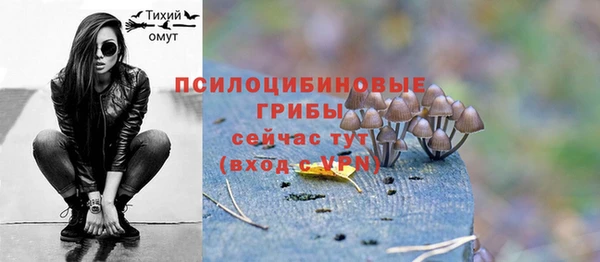 прущая мука Дмитровск